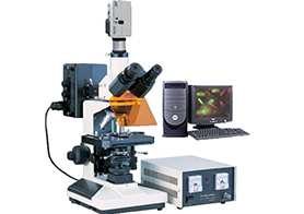 荧光显微镜及分析系统